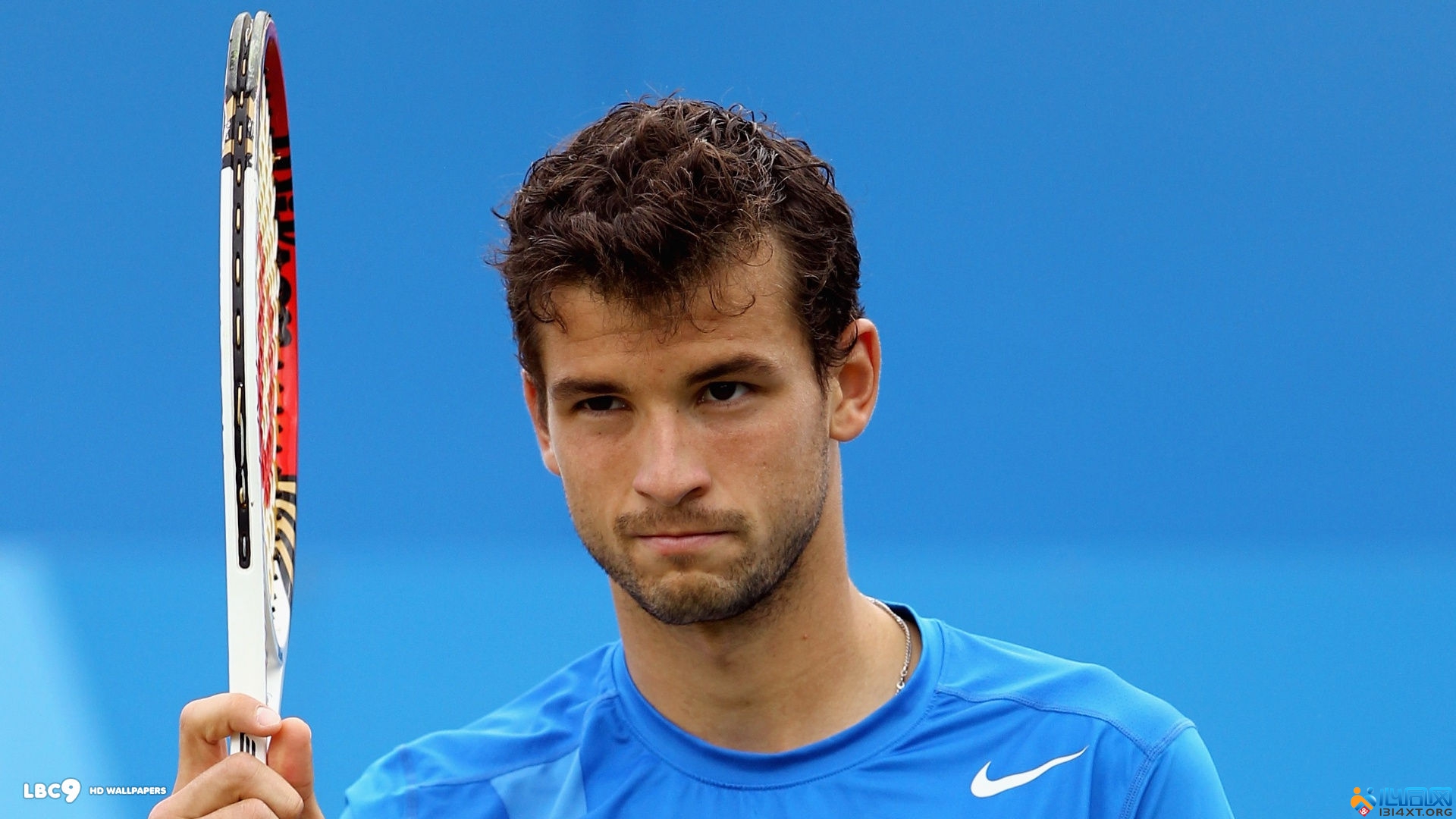 辛纳反应迅 辛纳反应迅